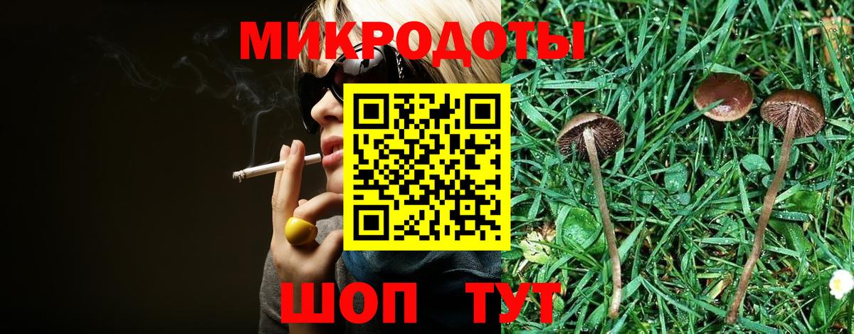 Галлюциногенные грибы Psilocybe  Вход с VPN  Михайловка 